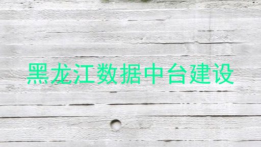 黑龙江数据中台建设