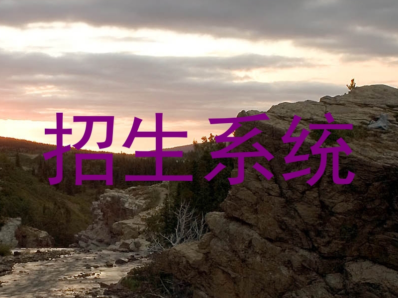 招生系统