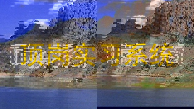 顶岗实习系统