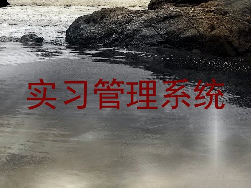 实习管理系统