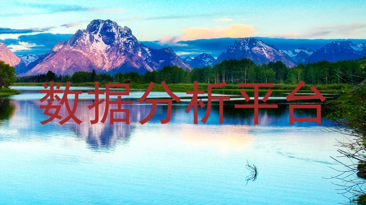 数据分析平台