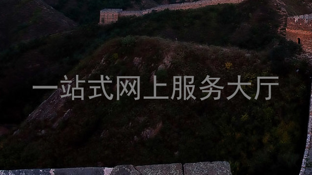 一站式网上服务大厅