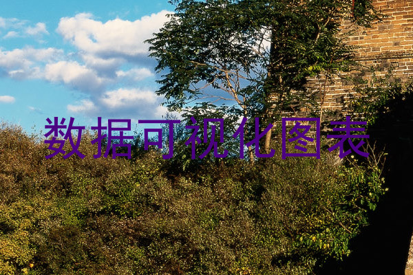 数据可视化图表