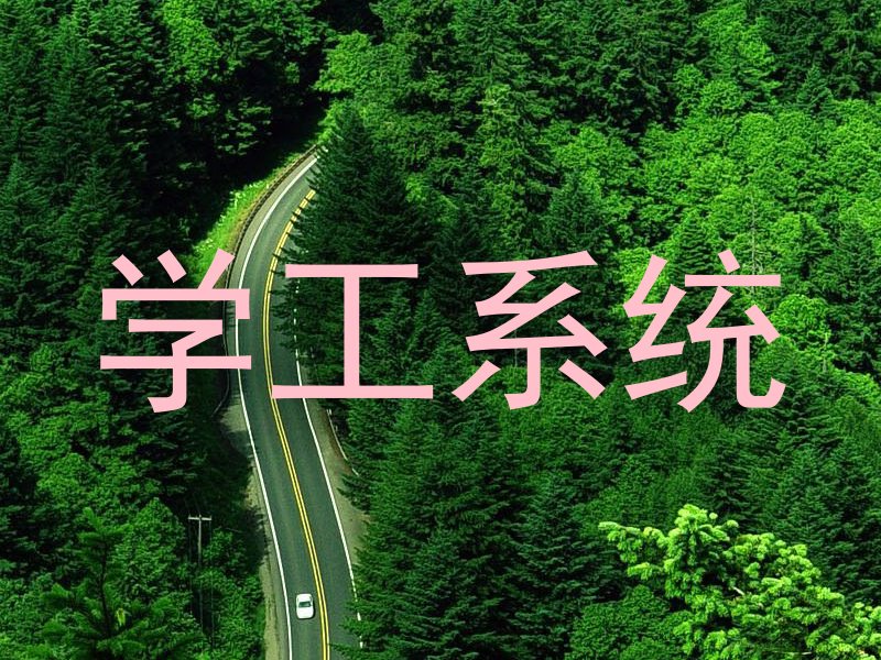 学工系统