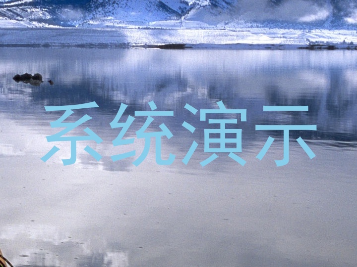 系统演示