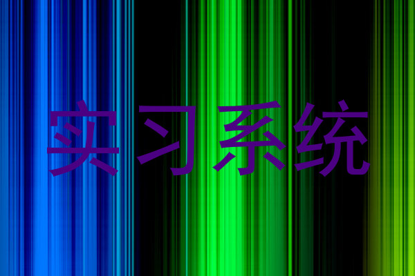 实习系统