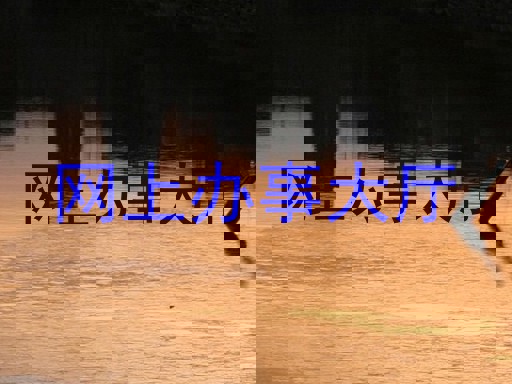 网上办事大厅