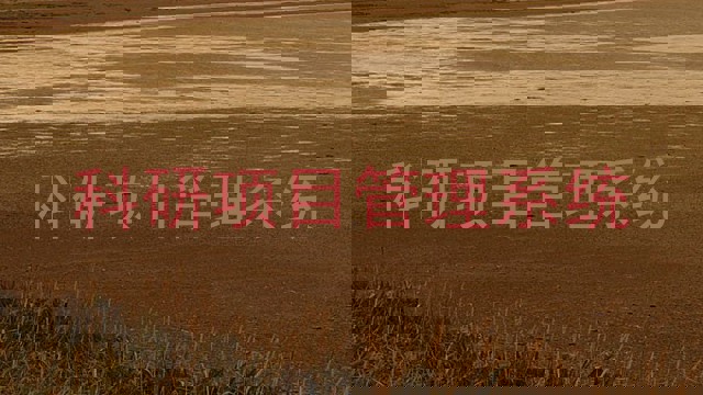 科研项目管理系统