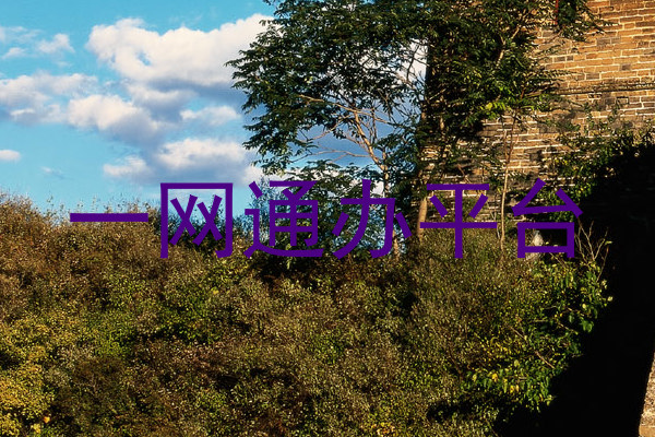 一网通办平台