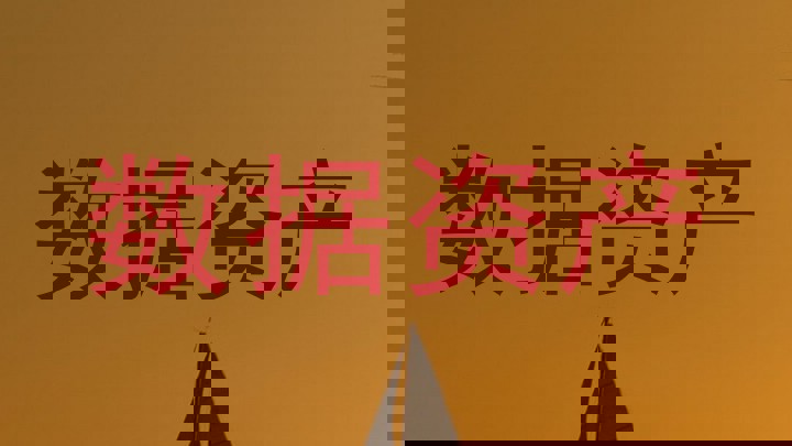数据资产