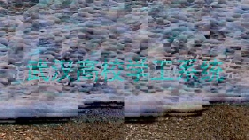 武汉高校学工系统