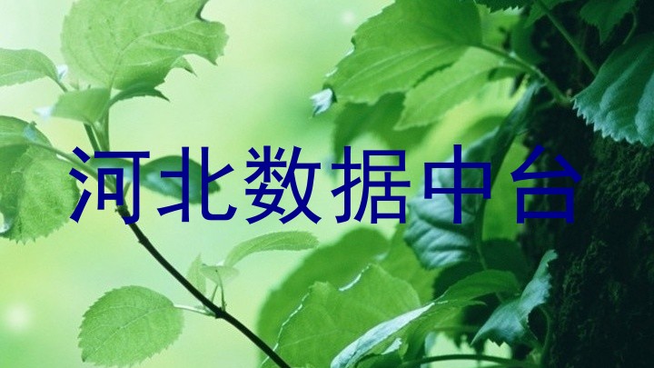 河北数据中台