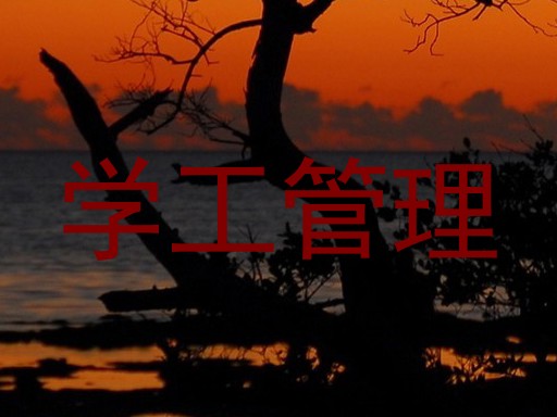 学工管理