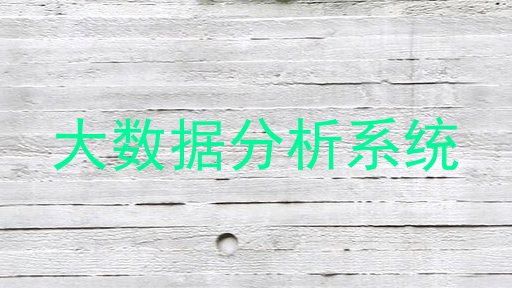 大数据分析系统