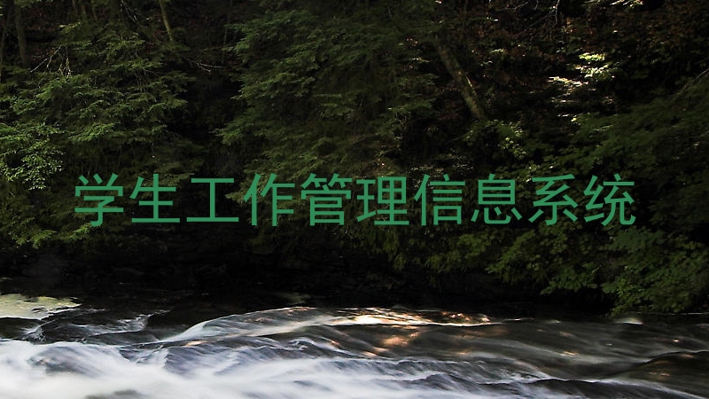 学生工作管理信息系统