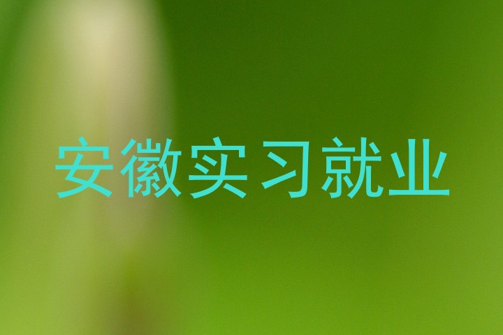 安徽实习就业