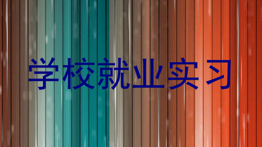 学校就业实习