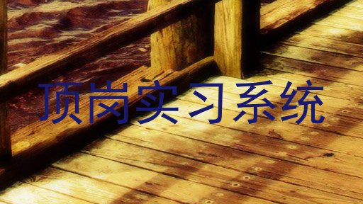 顶岗实习系统