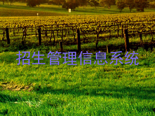 招生管理信息系统