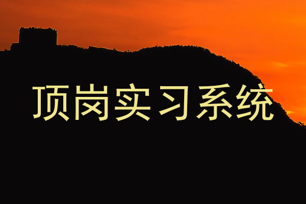 顶岗实习系统
