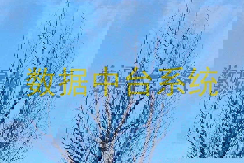 数据中台系统