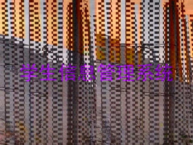 学生信息管理系统