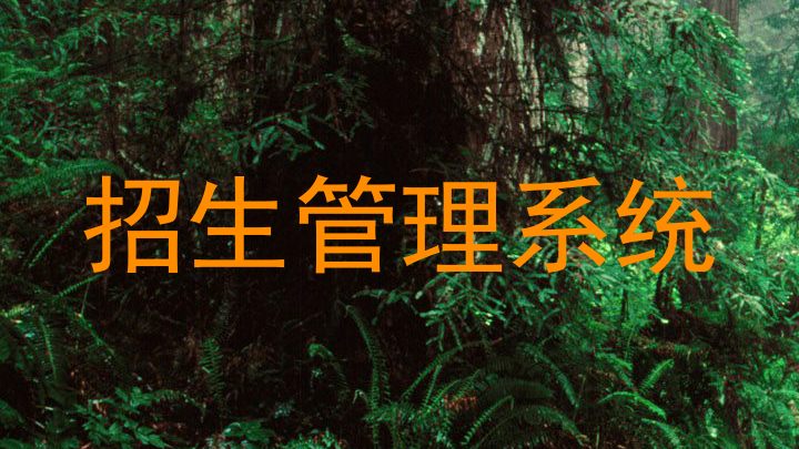 招生管理系统