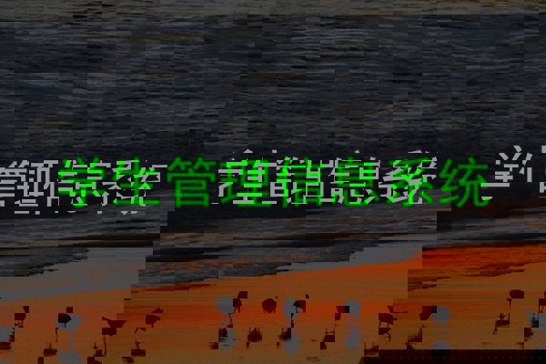 学生管理信息系统