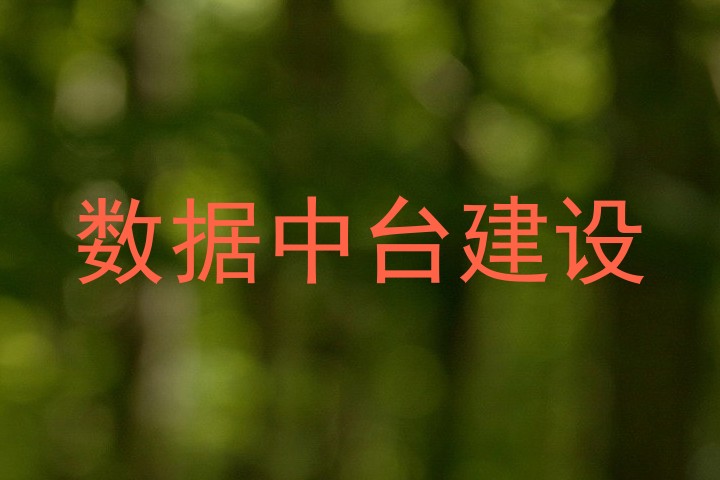 数据中台建设