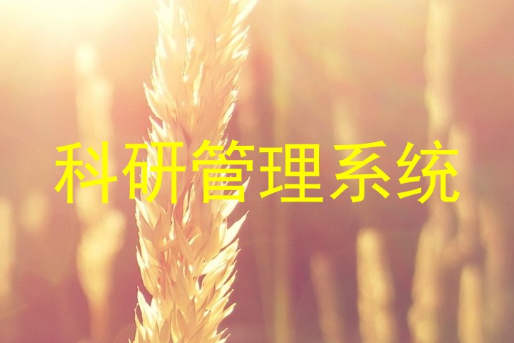 科研管理系统