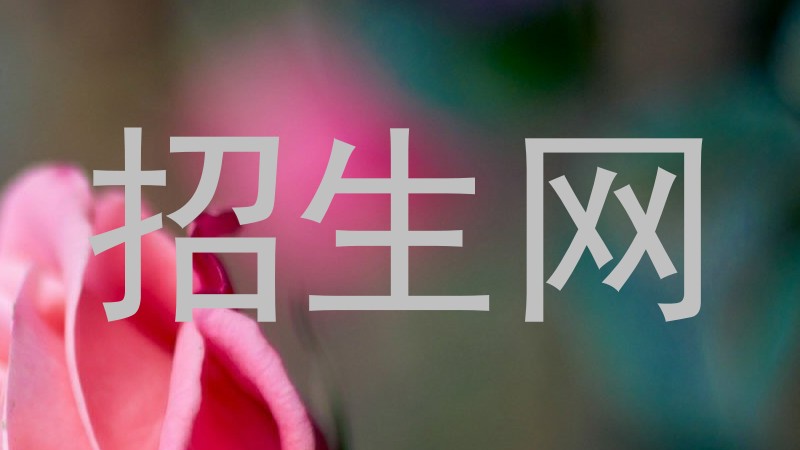招生网