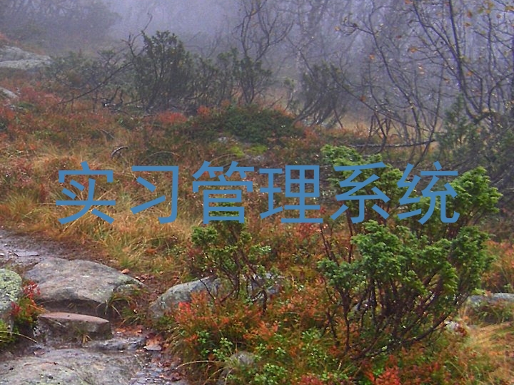 实习管理系统