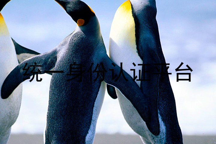 统一身份认证平台