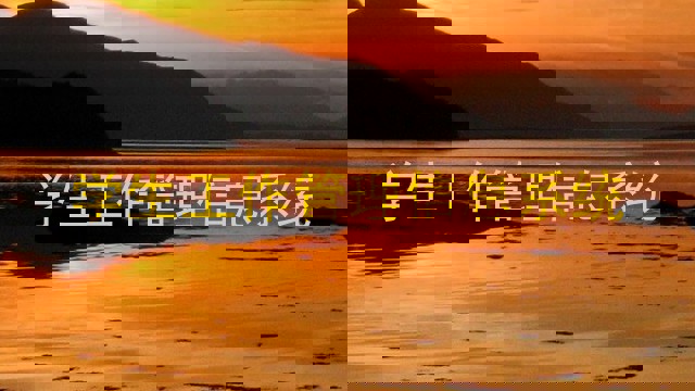 学生工作管理信息系统