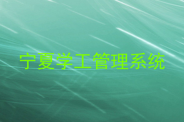 宁夏学工管理系统