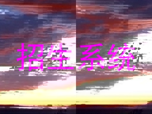 招生系统