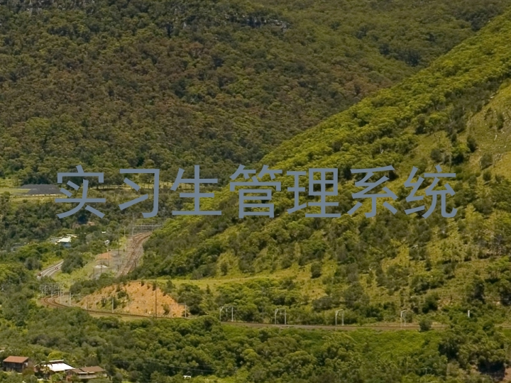 实习生管理系统
