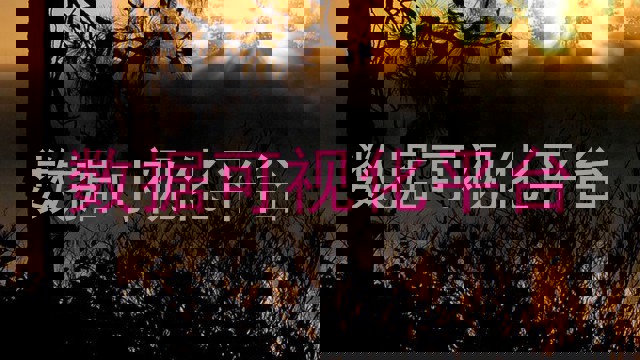 数据可视化平台