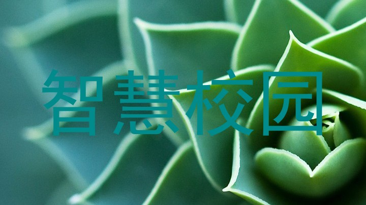 智慧校园