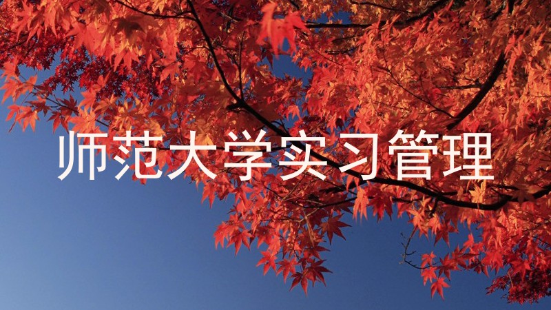 师范大学实习管理