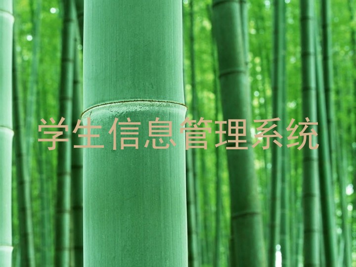 学生信息管理系统