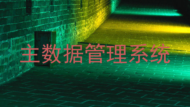 主数据管理系统