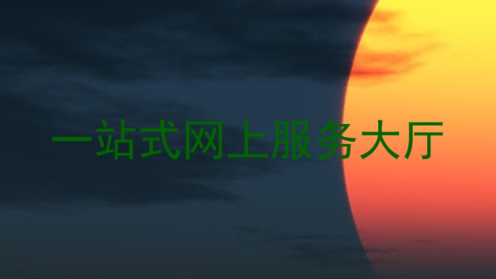 一站式网上服务大厅
