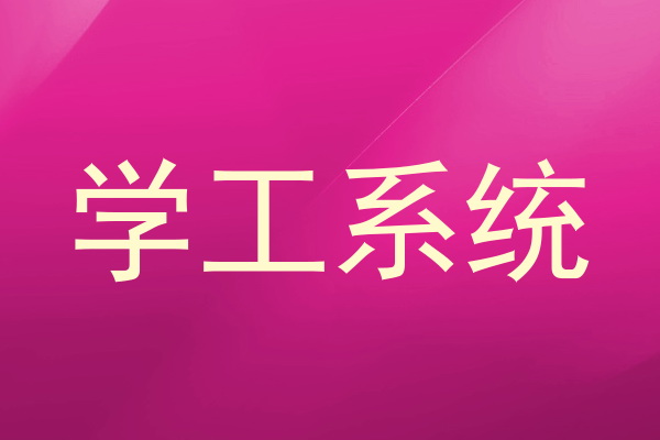 学工系统