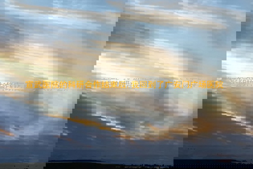 宣武医院的科研合作结束后,我回到了广安门广场医院