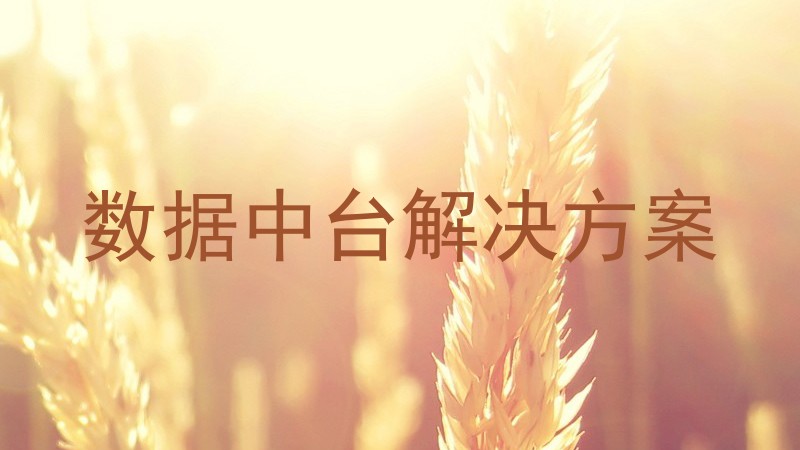 数据中台解决方案