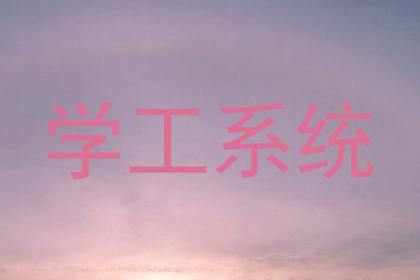 学工系统