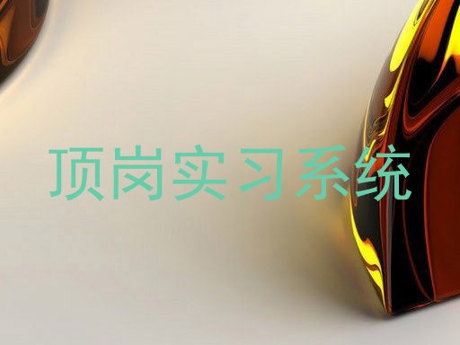 顶岗实习系统
