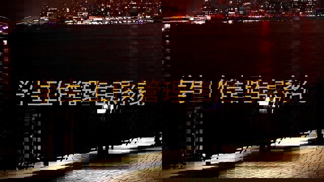 学生工作管理信息系统