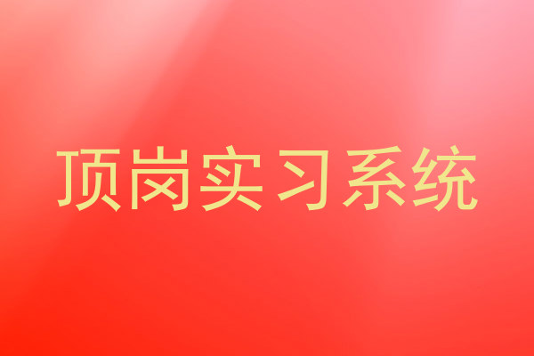 顶岗实习系统